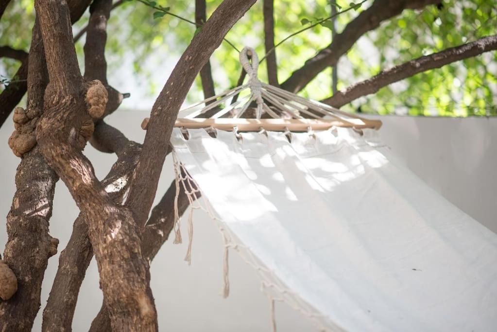 Luxury Studio With Garden Next To Acropolis Atenas Exterior foto
