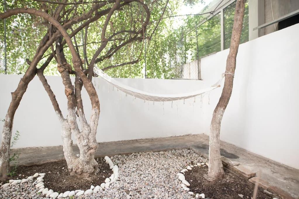 Luxury Studio With Garden Next To Acropolis Atenas Exterior foto